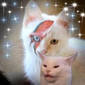 Meet your Posher, Cheri